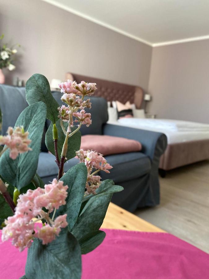 City-Appartement 12.3. 茨维考 外观 照片
